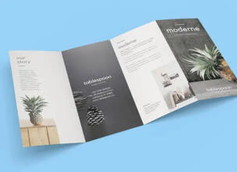 4 Panel Quad Fold Brochure