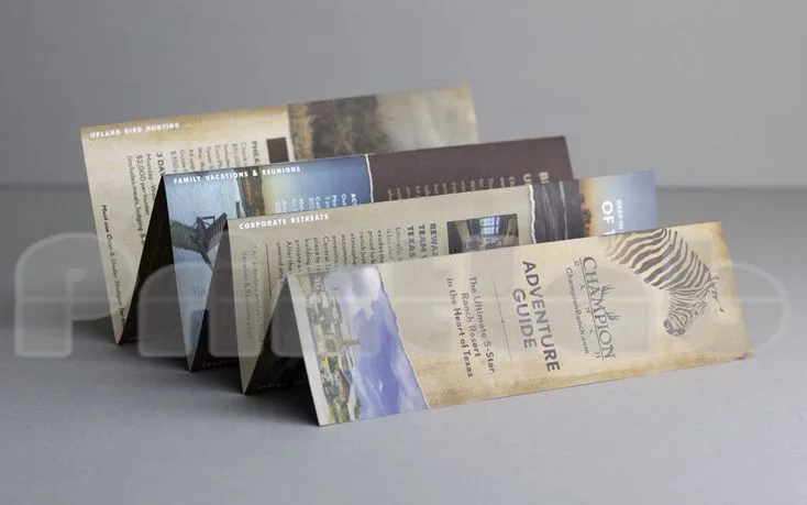 BUSINESS CARD PROMOTION