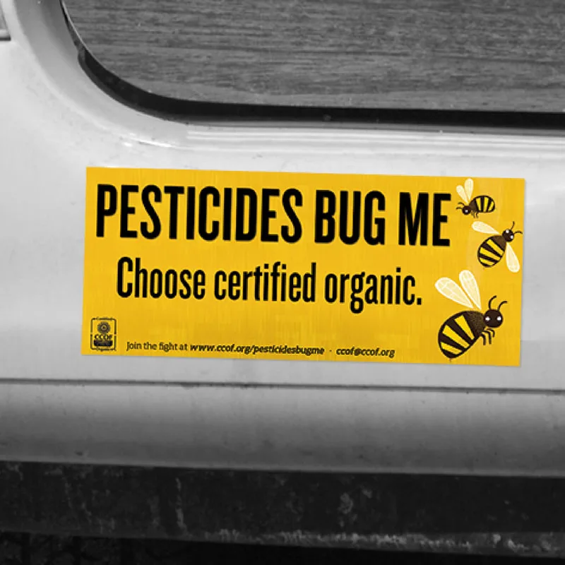 Bumper Sticker
