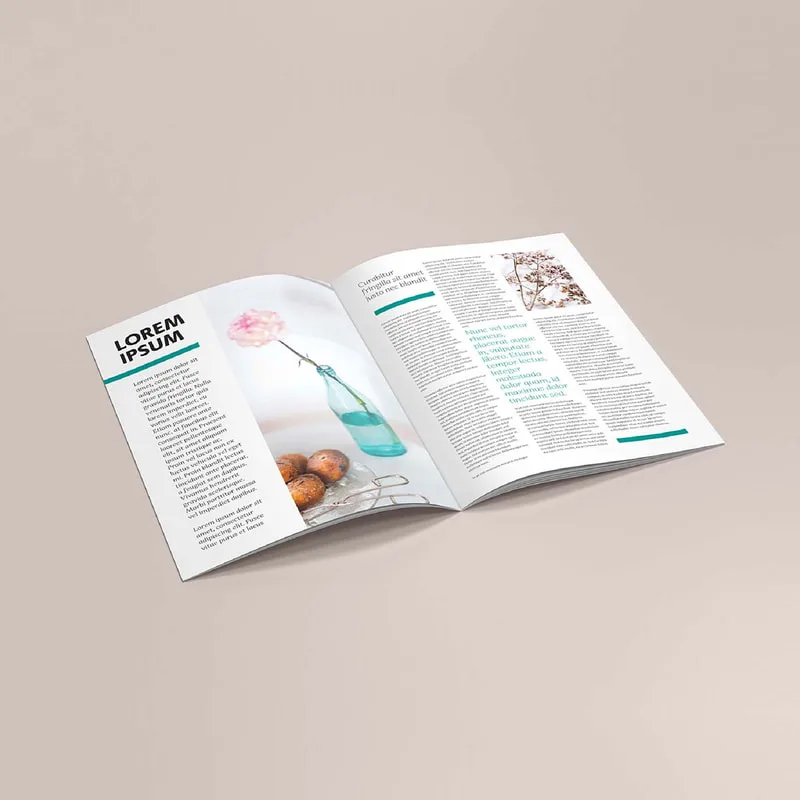 Catalog Book Full Colour Printing
