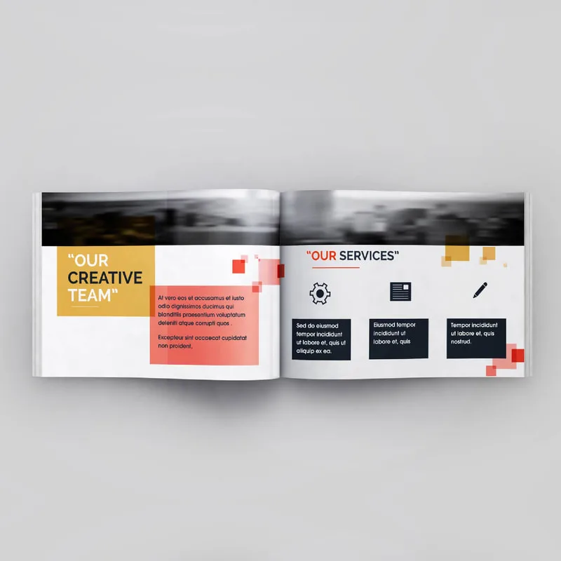 Company Profile