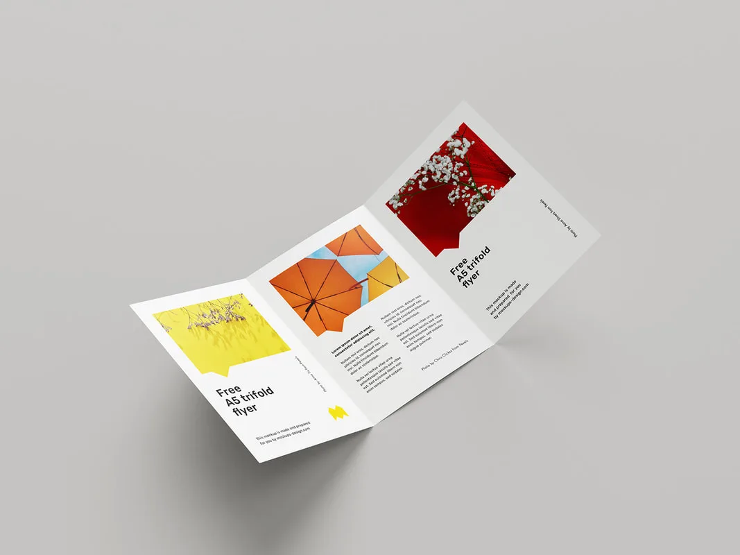 A4 Size Certificate Printing