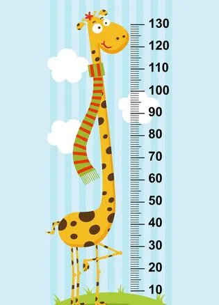 Height Measuring Scale for Kids