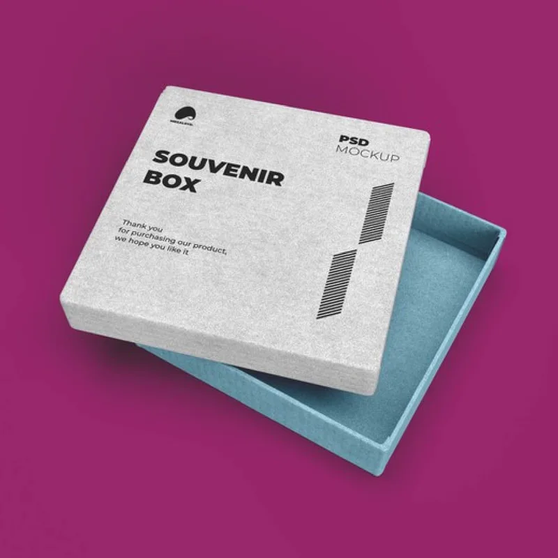 Print Souvenirs Box, Custom Die Cut Present Box