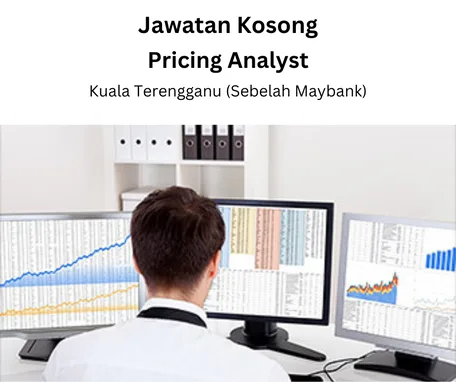 Job Vacancy Pricing Analyst